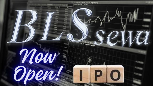 BLS E-Services IPO