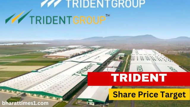 Trident Share Price Target